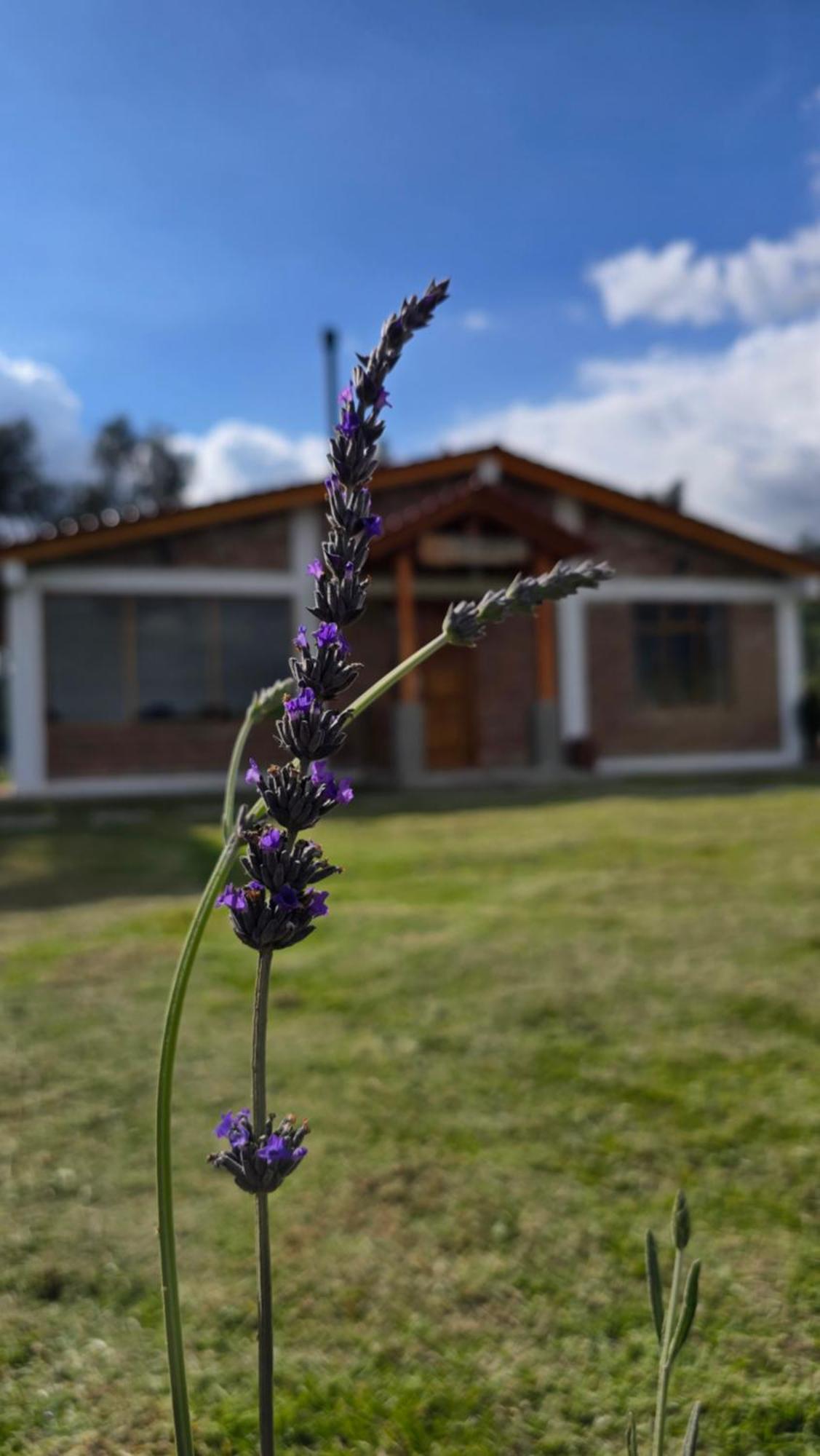 Chasqui Cuscungo Cotopaxi Hostel & Lodge מראה חיצוני תמונה